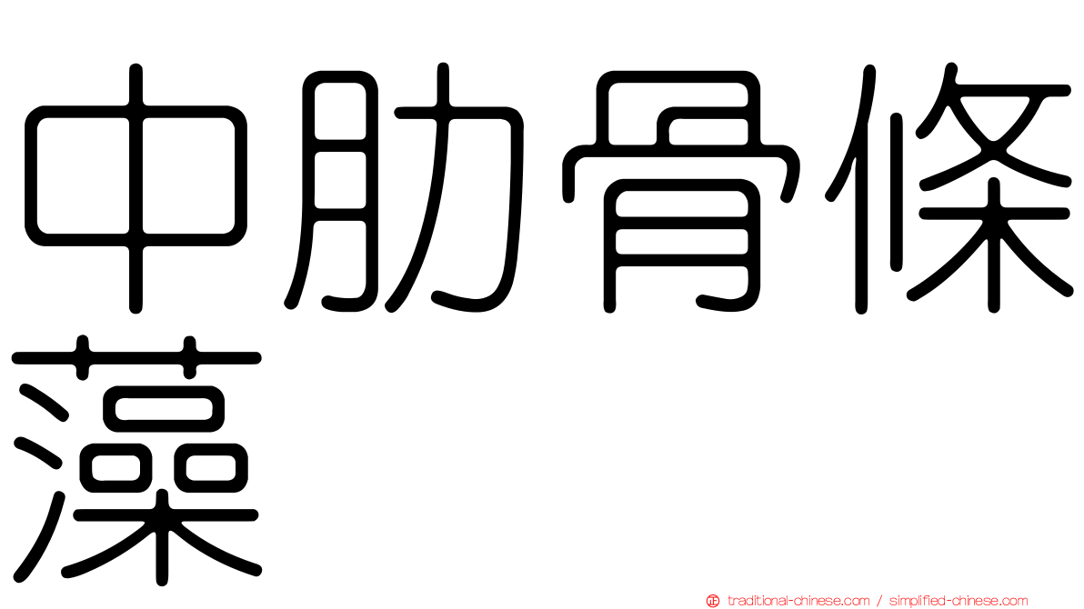中肋骨條藻