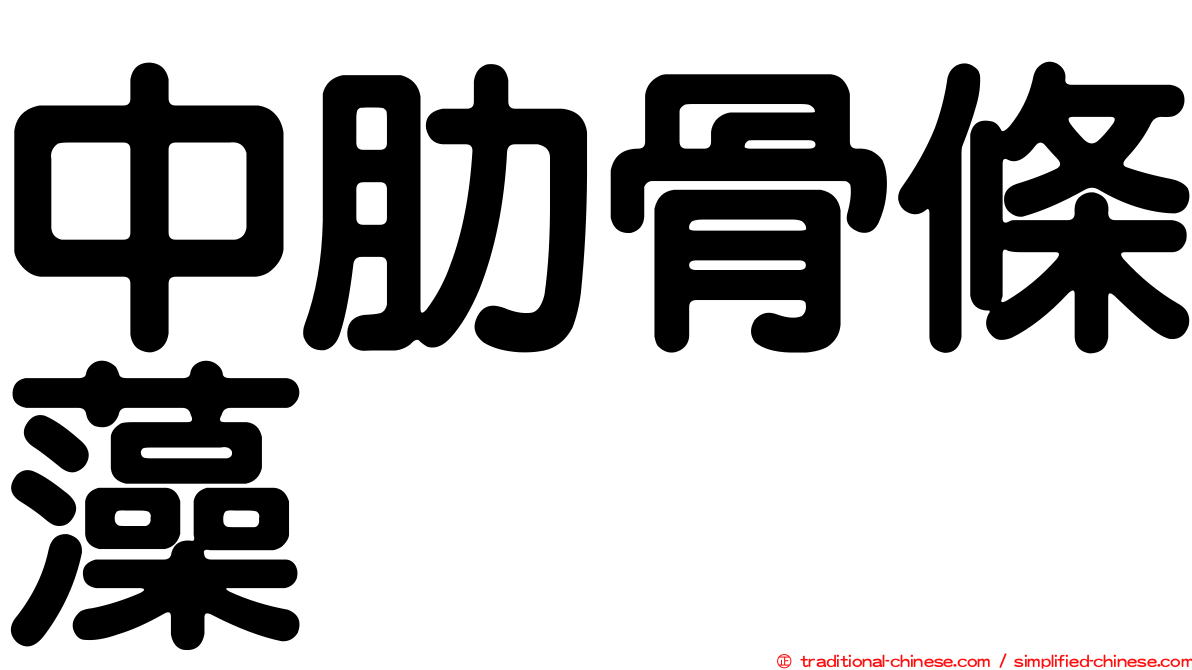 中肋骨條藻
