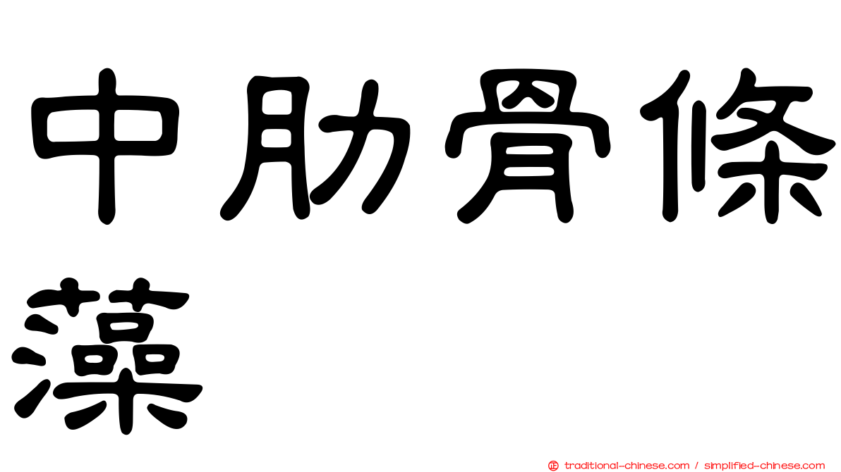 中肋骨條藻