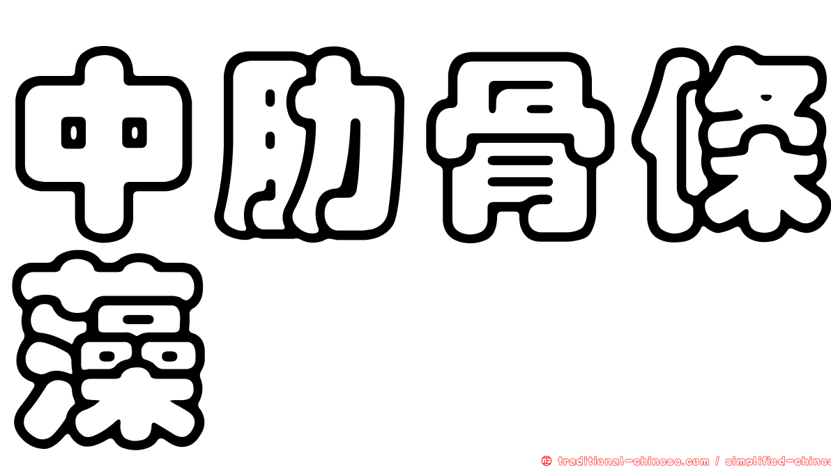 中肋骨條藻