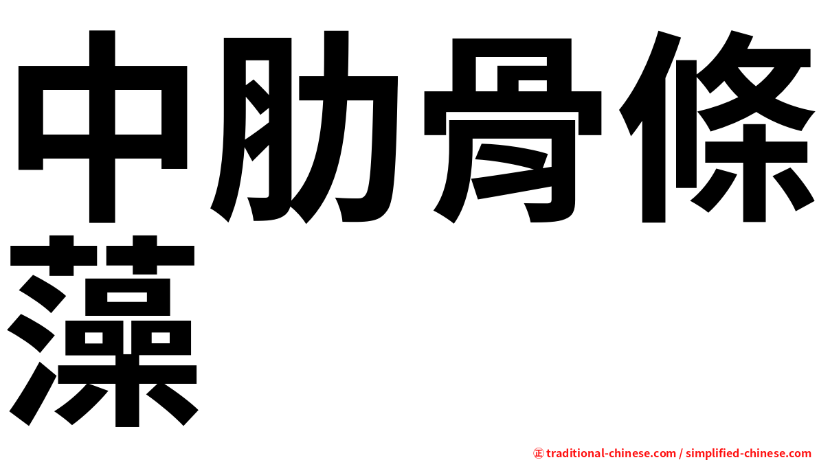 中肋骨條藻
