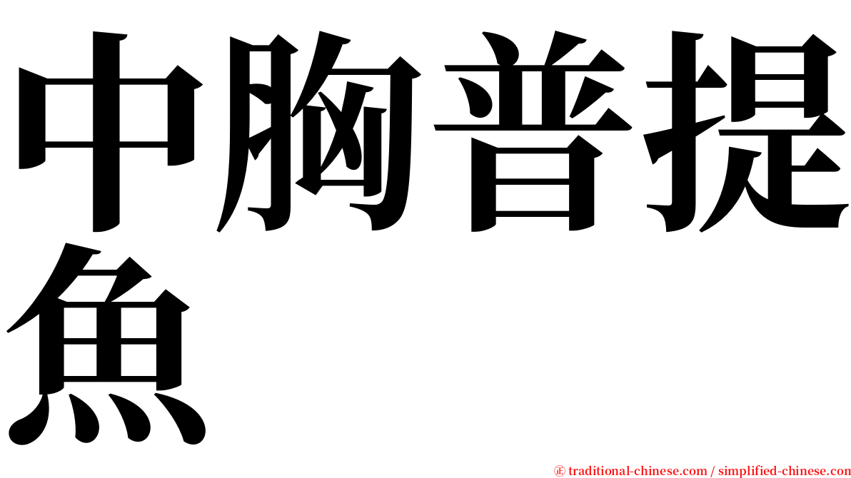 中胸普提魚 serif font