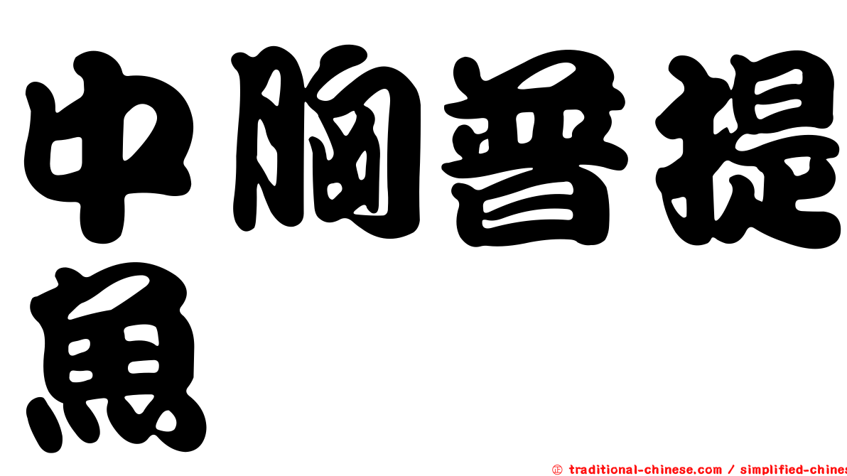 中胸普提魚