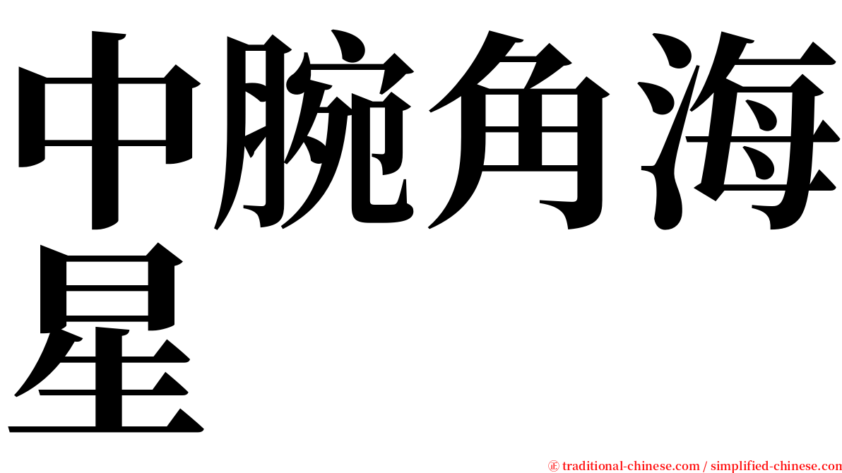 中腕角海星 serif font