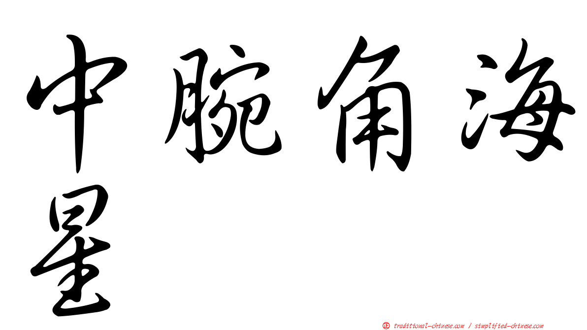 中腕角海星