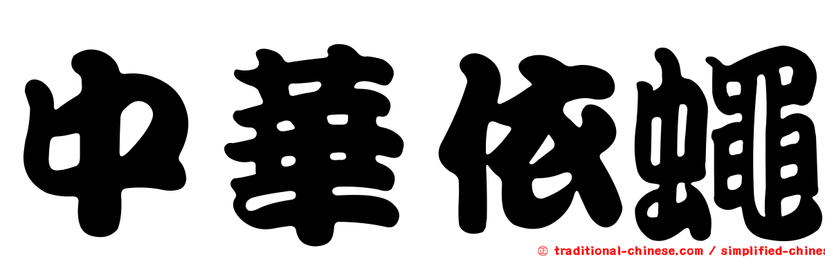 中華依蠅