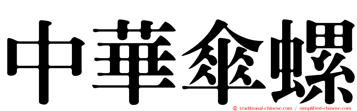 中華傘螺