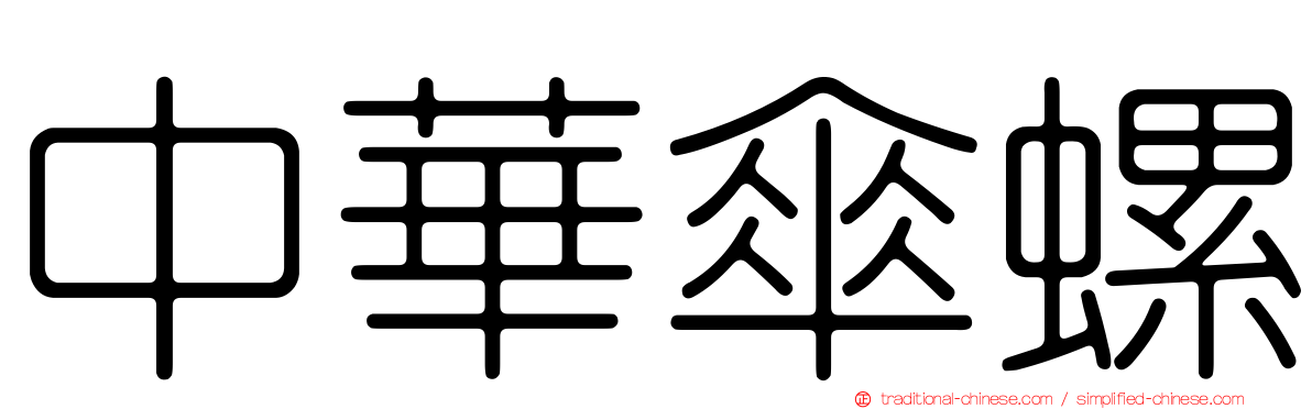 中華傘螺