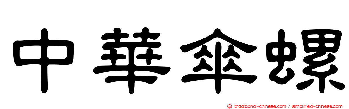 中華傘螺