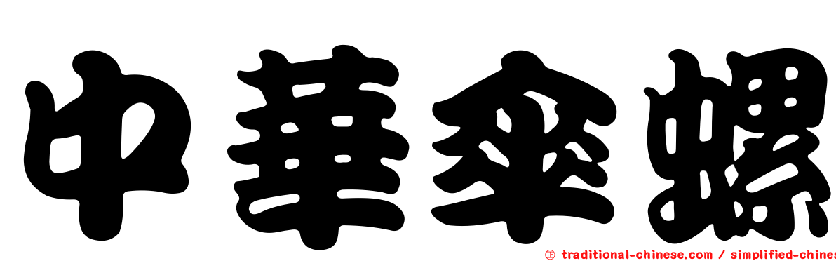 中華傘螺