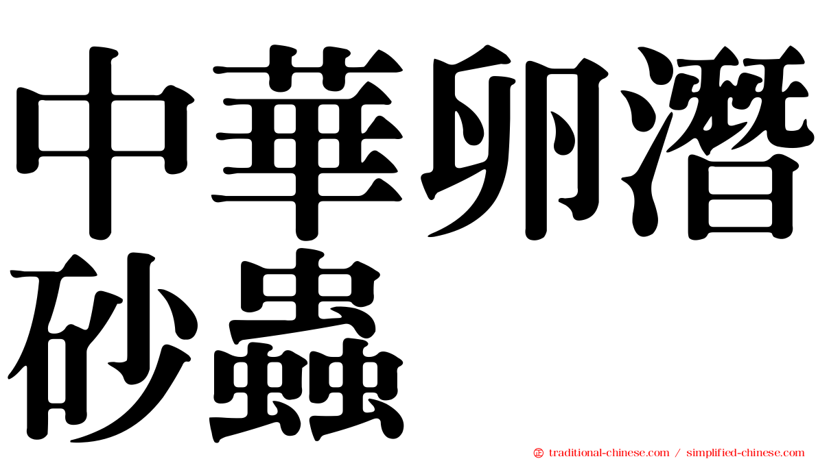 中華卵潛砂蟲