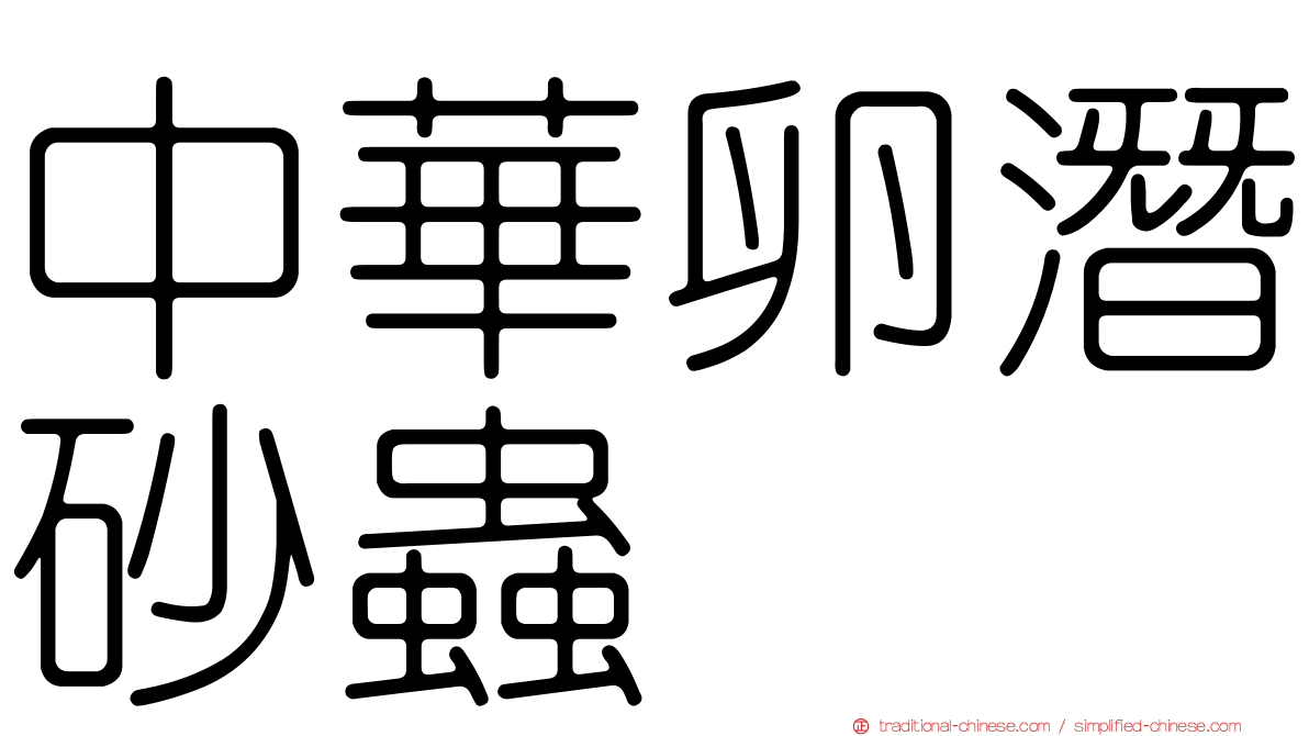 中華卵潛砂蟲