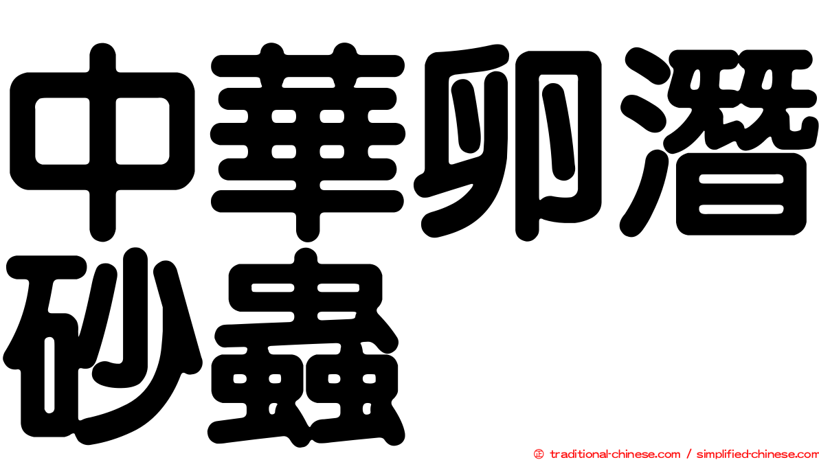 中華卵潛砂蟲