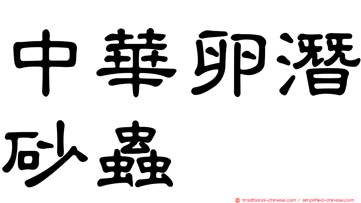 中華卵潛砂蟲