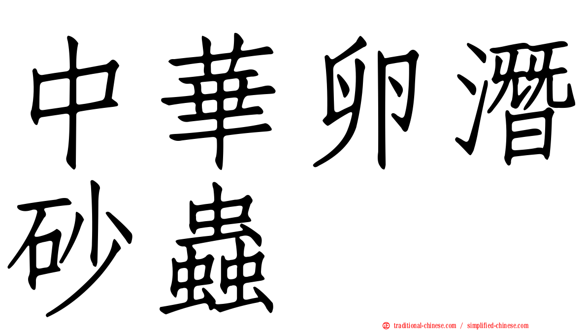 中華卵潛砂蟲