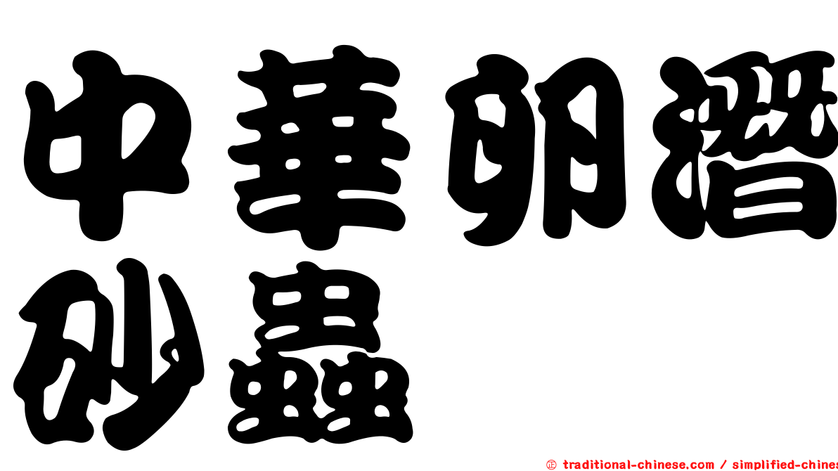 中華卵潛砂蟲
