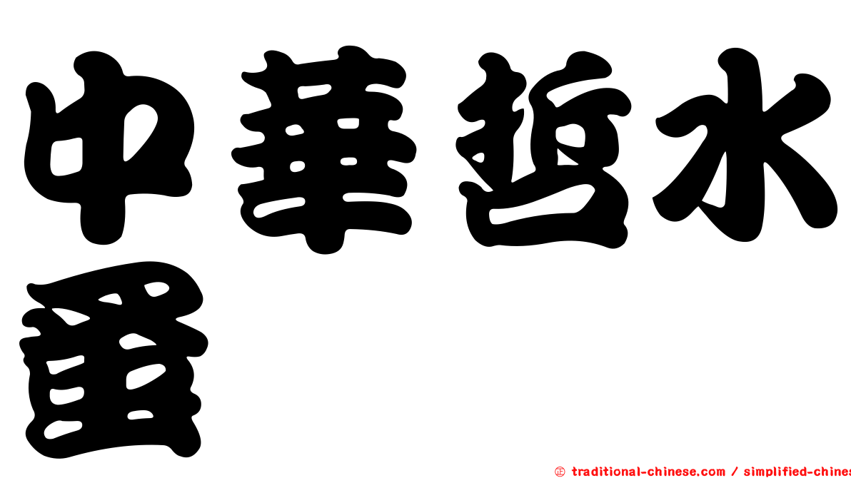 中華哲水蚤