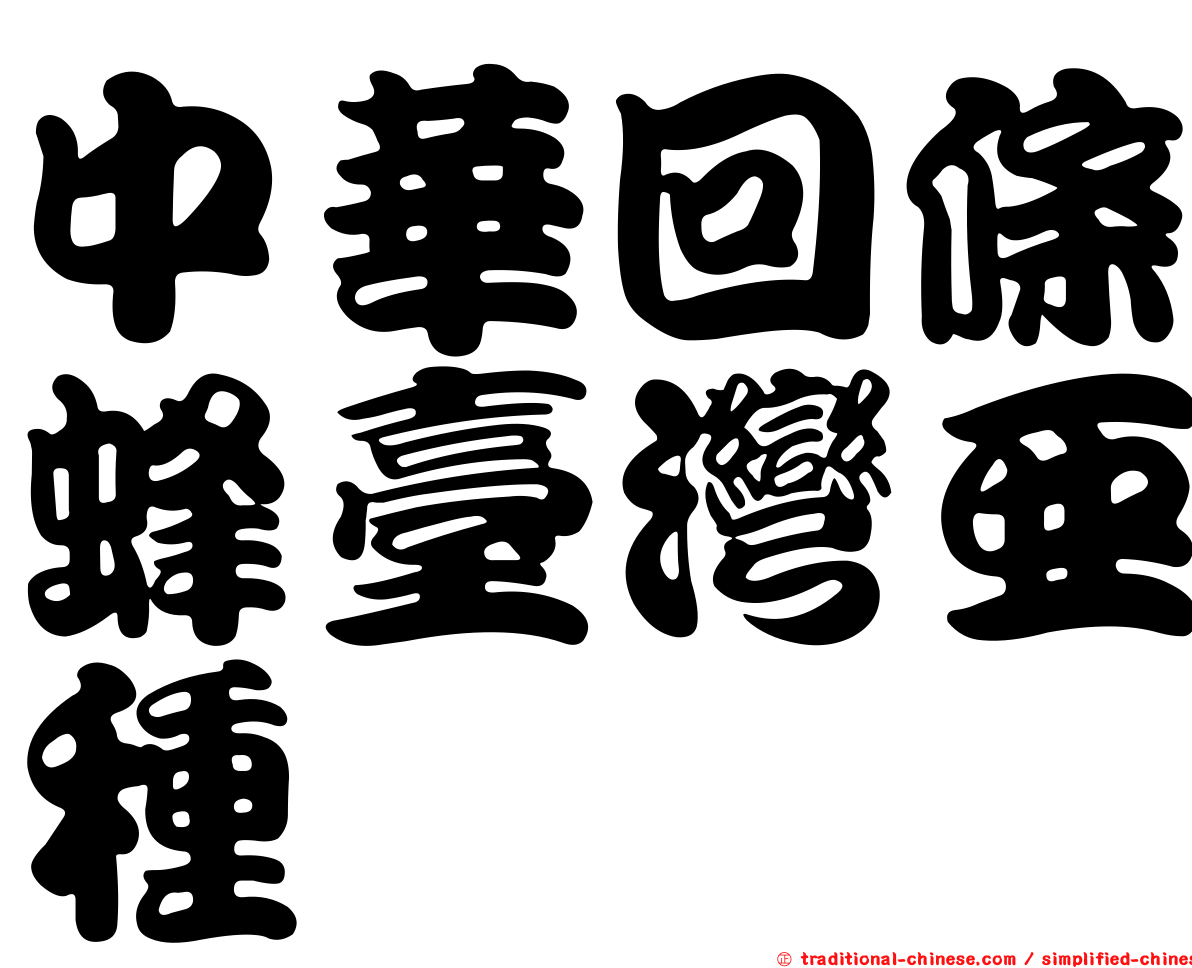 中華回條蜂臺灣亞種