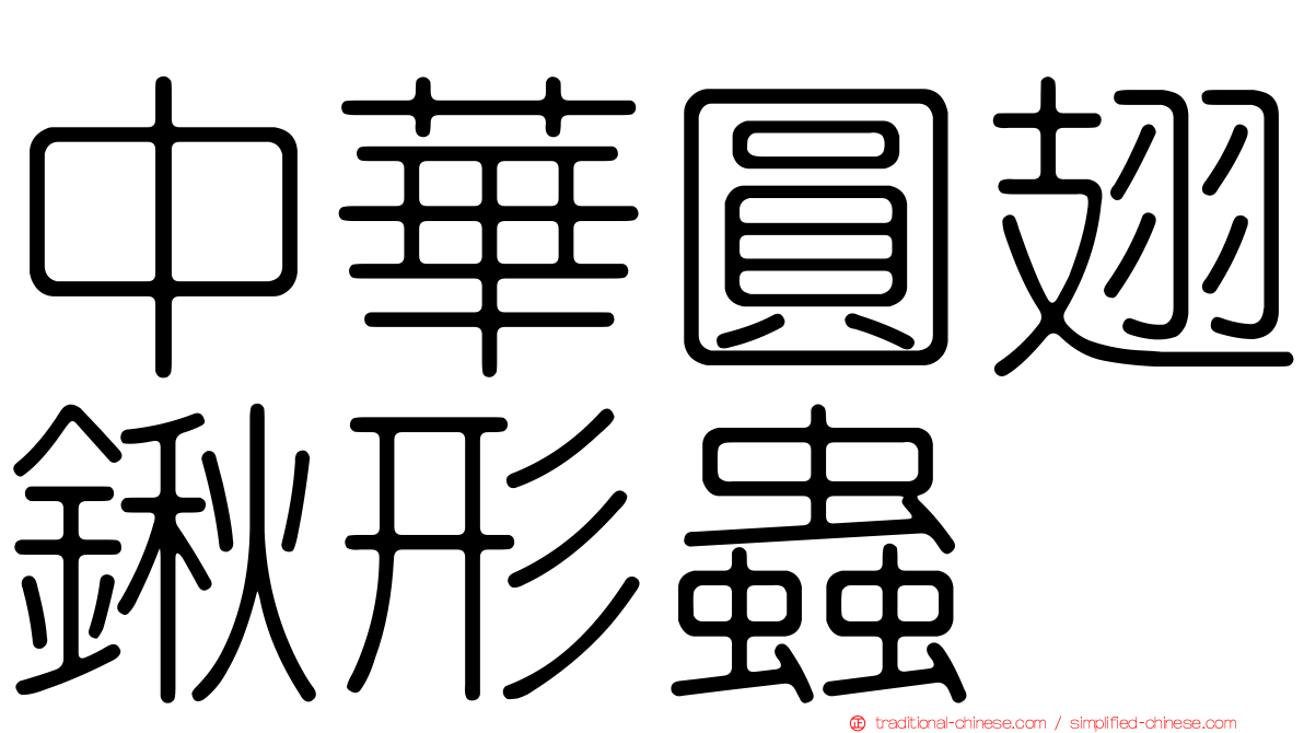 中華圓翅鍬形蟲