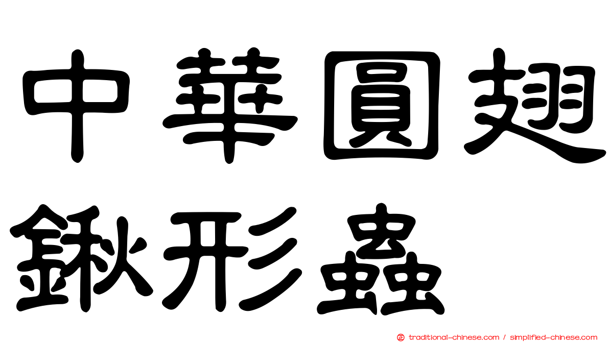中華圓翅鍬形蟲