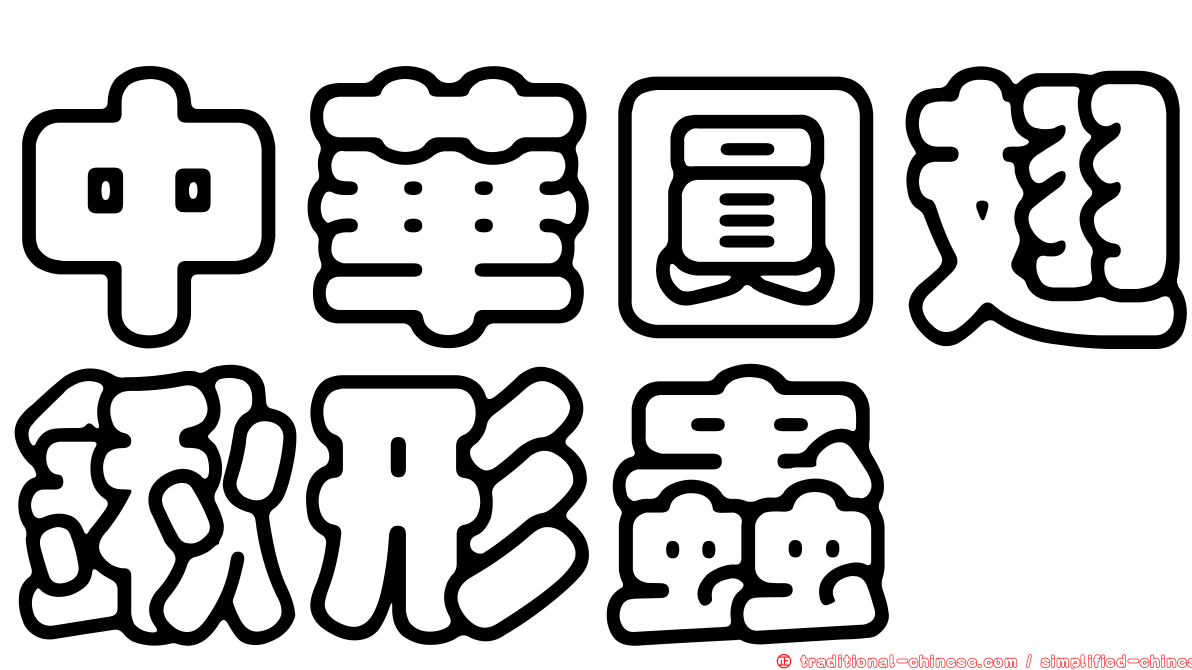 中華圓翅鍬形蟲