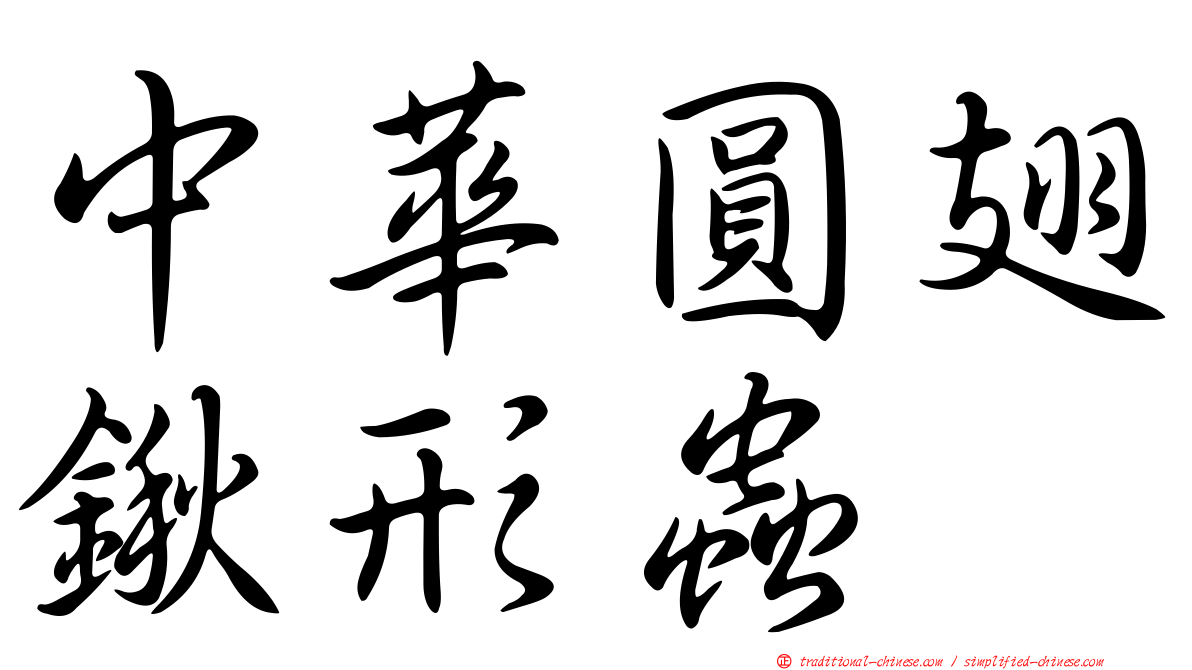中華圓翅鍬形蟲