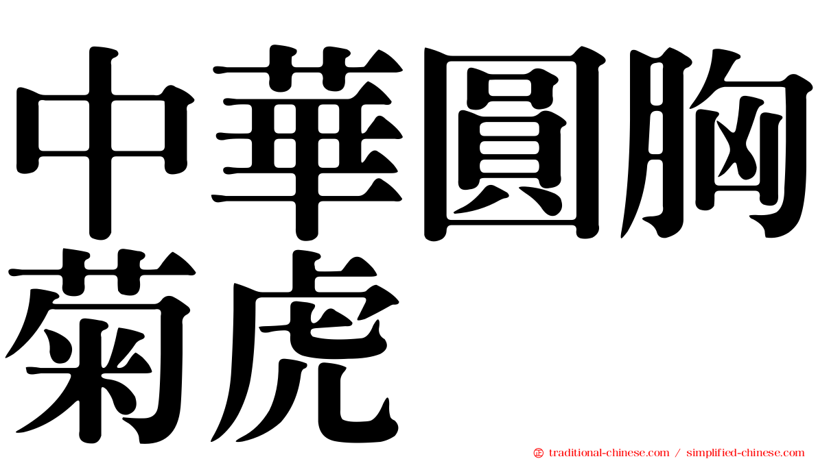 中華圓胸菊虎