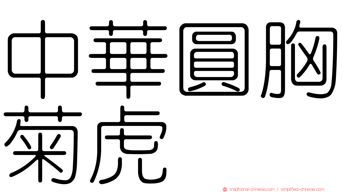 中華圓胸菊虎