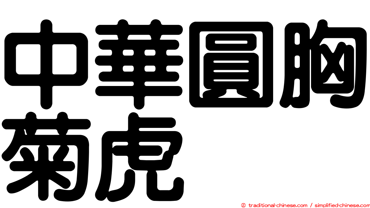 中華圓胸菊虎