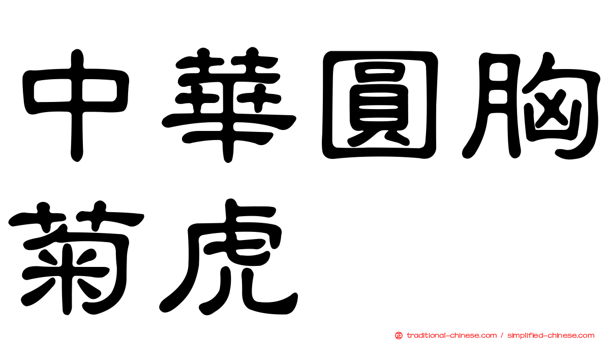 中華圓胸菊虎