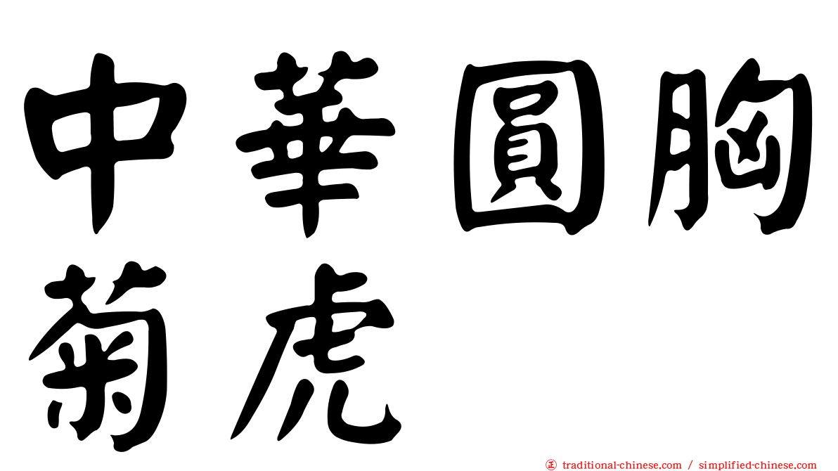 中華圓胸菊虎