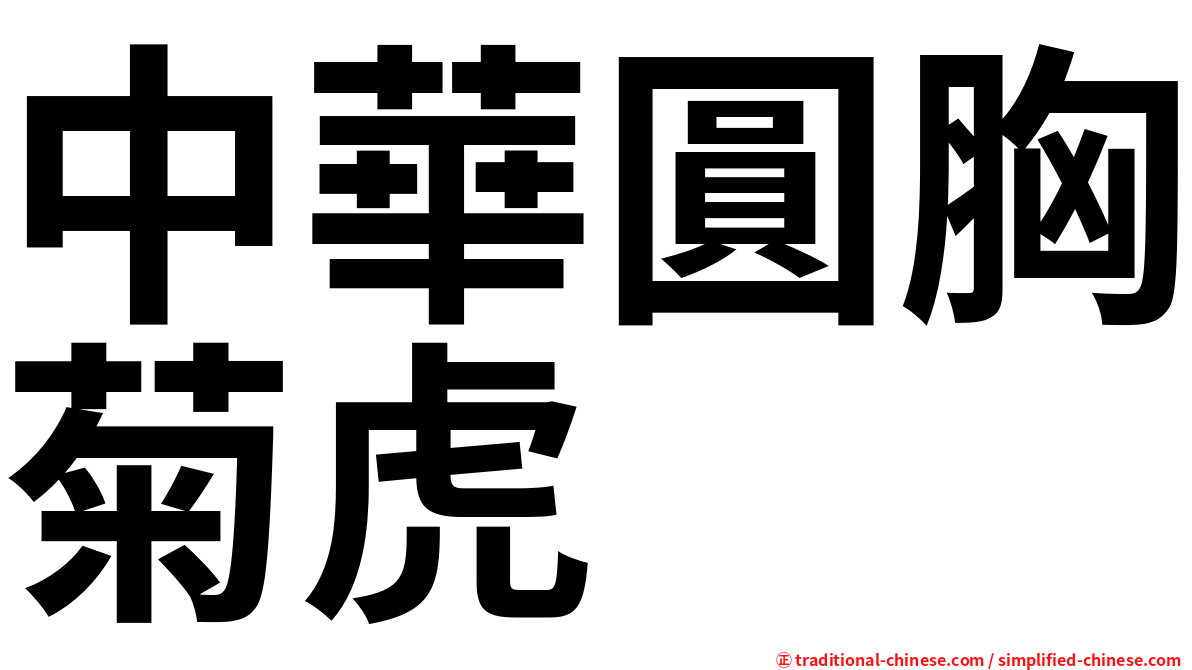 中華圓胸菊虎