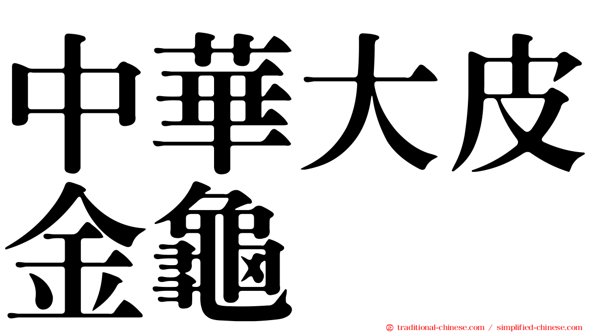 中華大皮金龜
