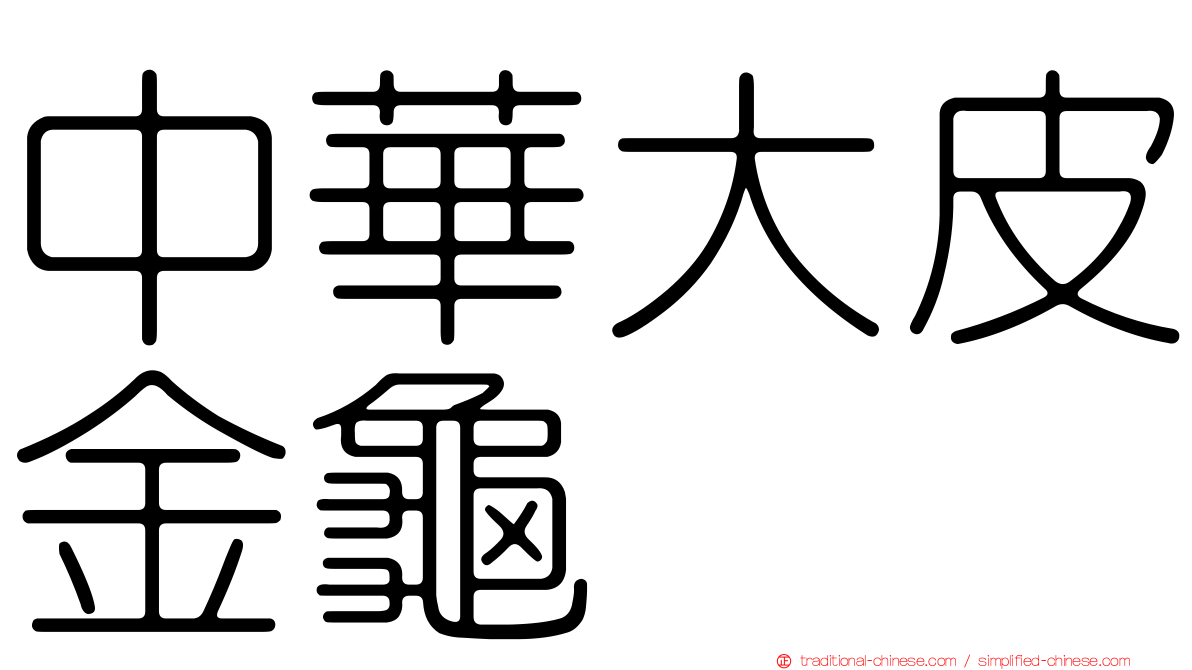 中華大皮金龜