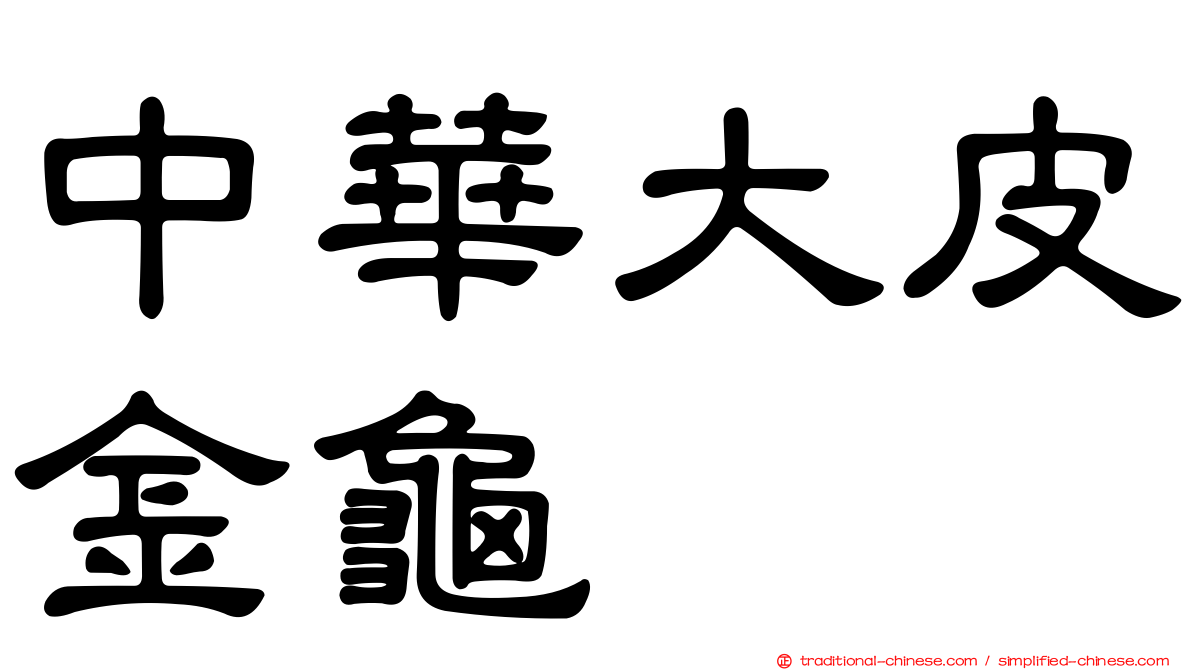 中華大皮金龜