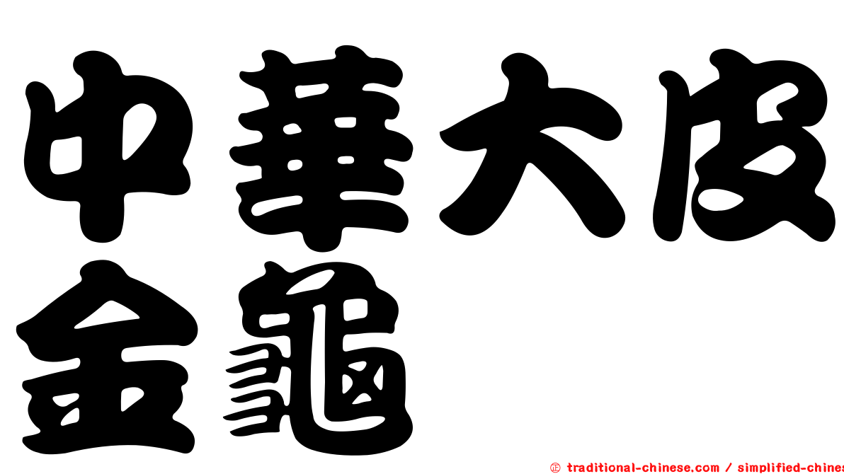 中華大皮金龜