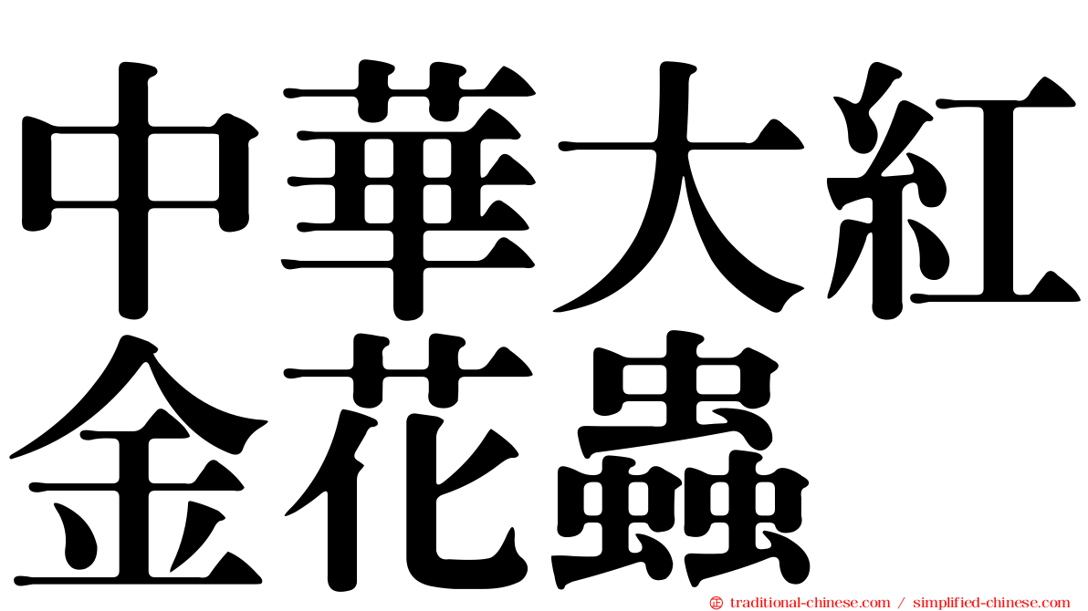 中華大紅金花蟲