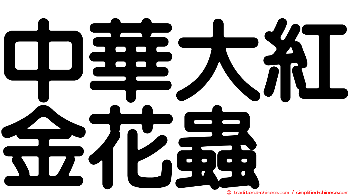 中華大紅金花蟲