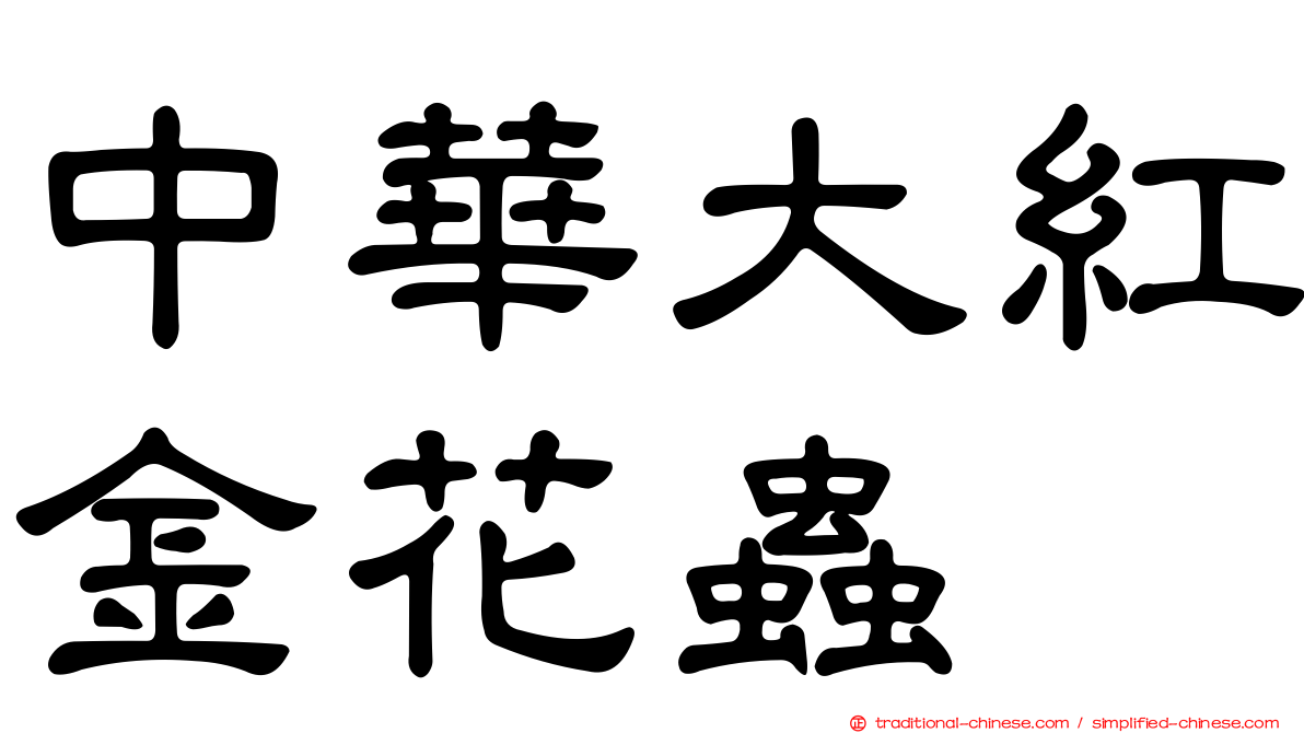 中華大紅金花蟲
