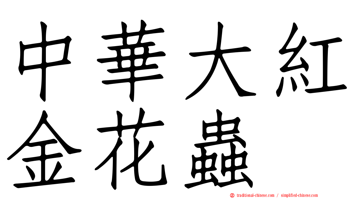 中華大紅金花蟲