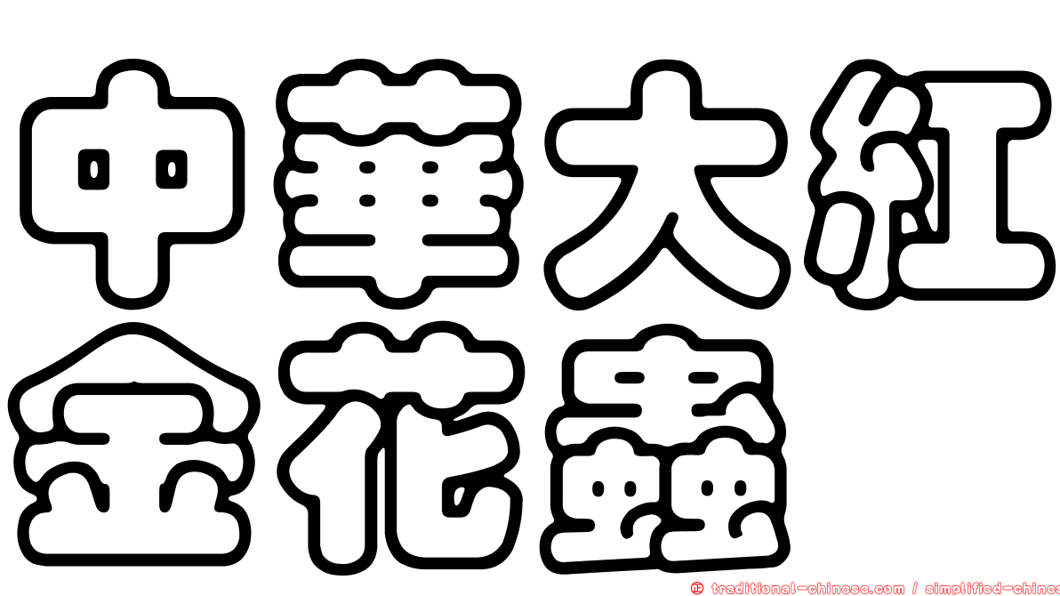 中華大紅金花蟲
