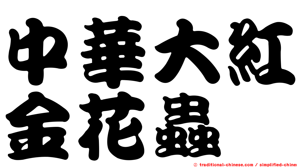中華大紅金花蟲