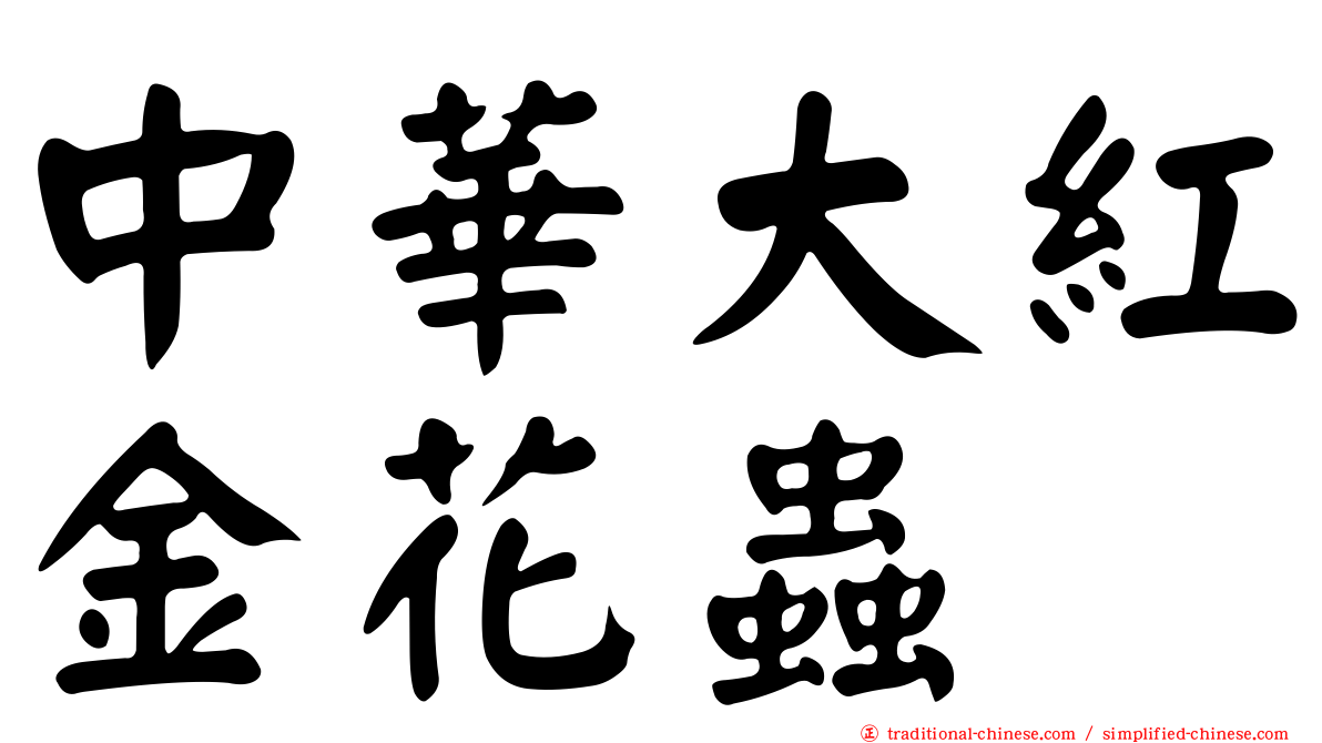 中華大紅金花蟲