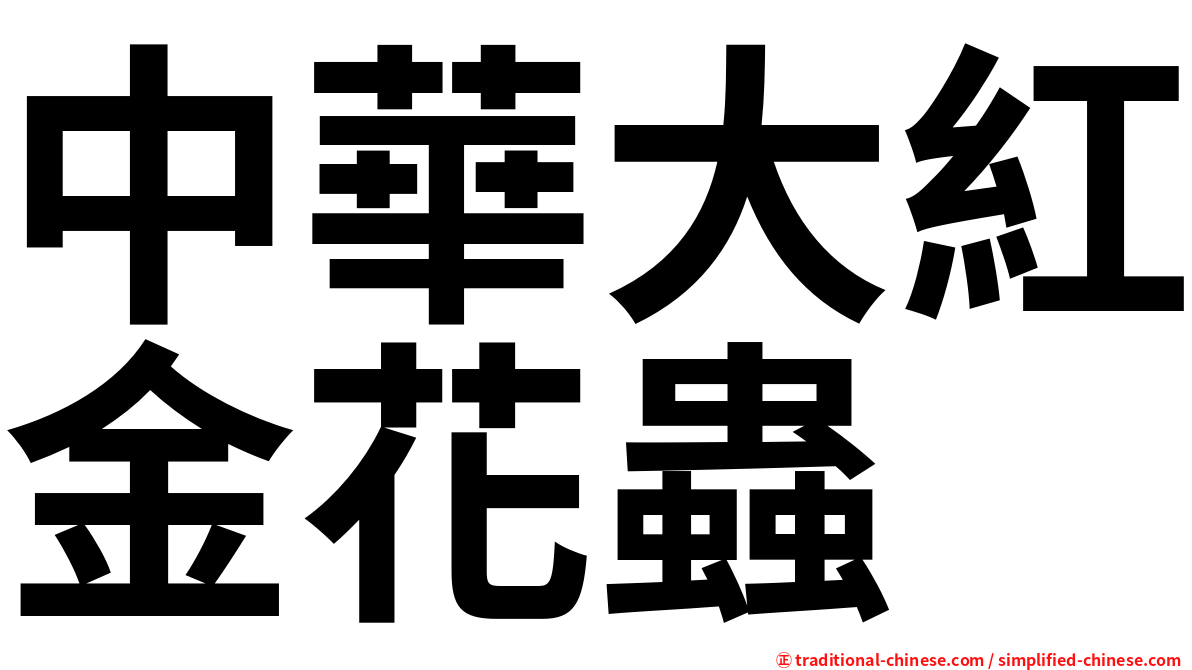 中華大紅金花蟲