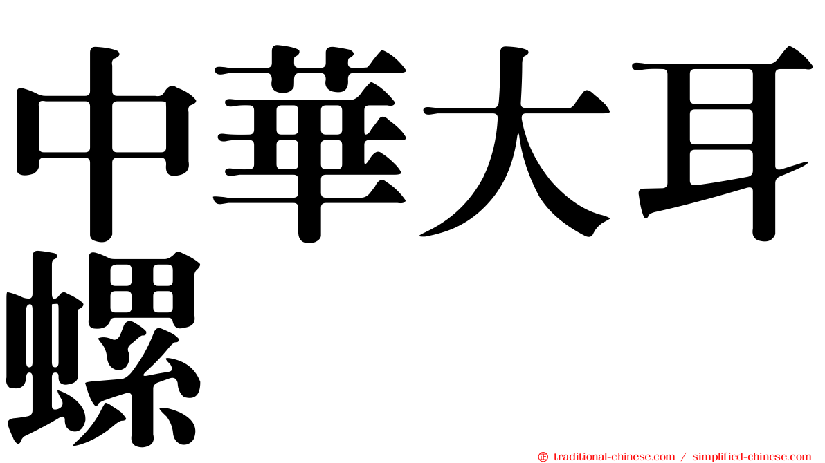 中華大耳螺