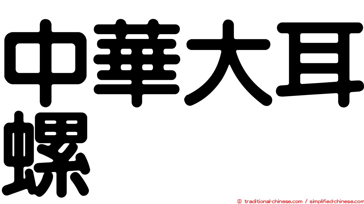 中華大耳螺