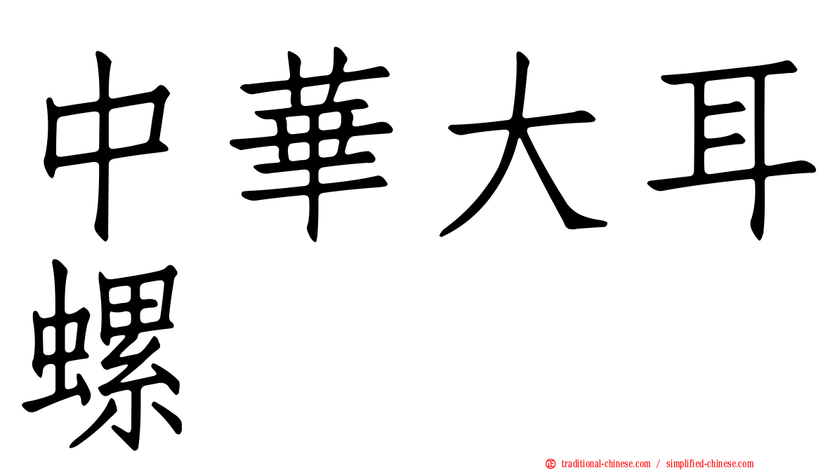 中華大耳螺