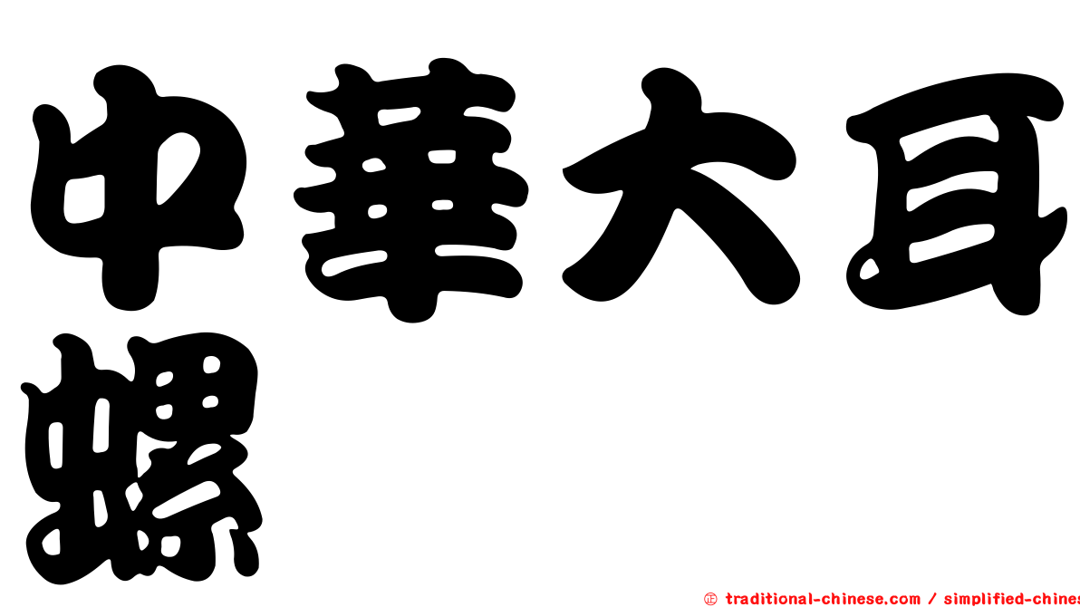 中華大耳螺