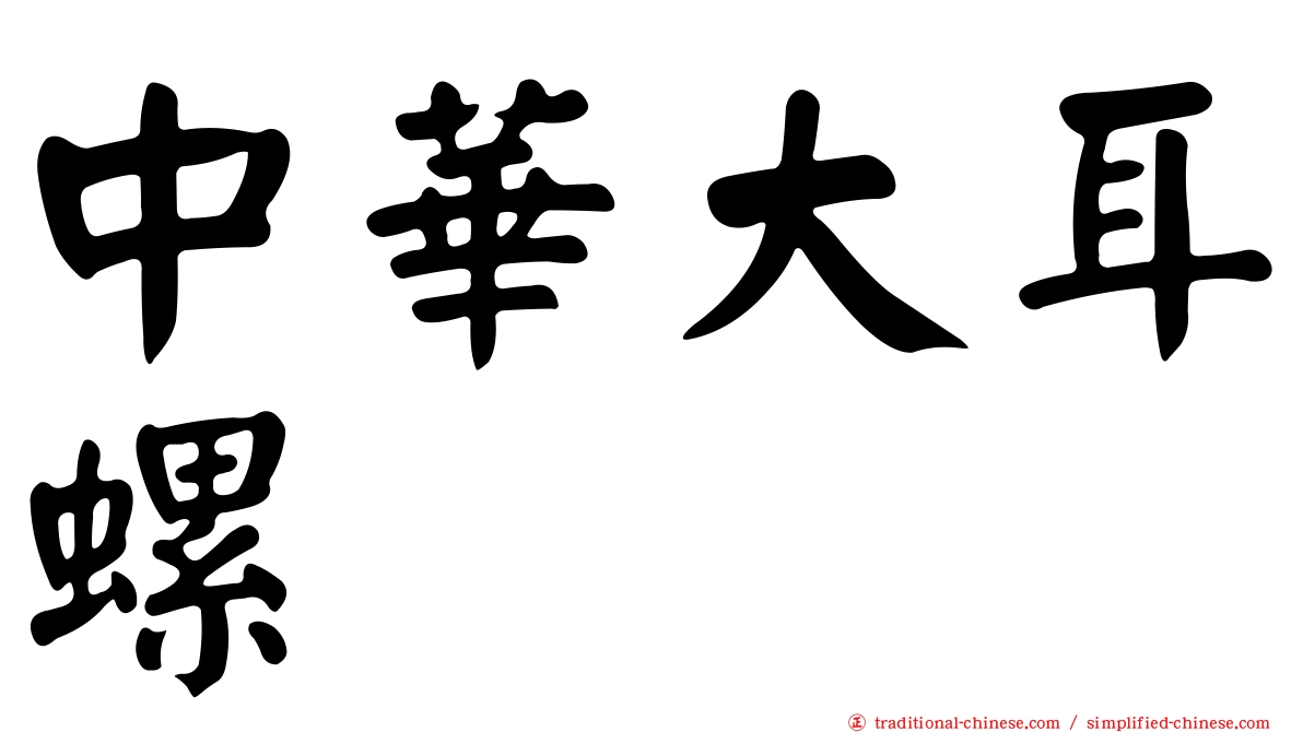 中華大耳螺