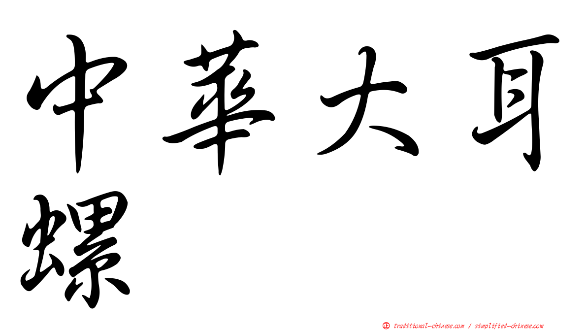 中華大耳螺